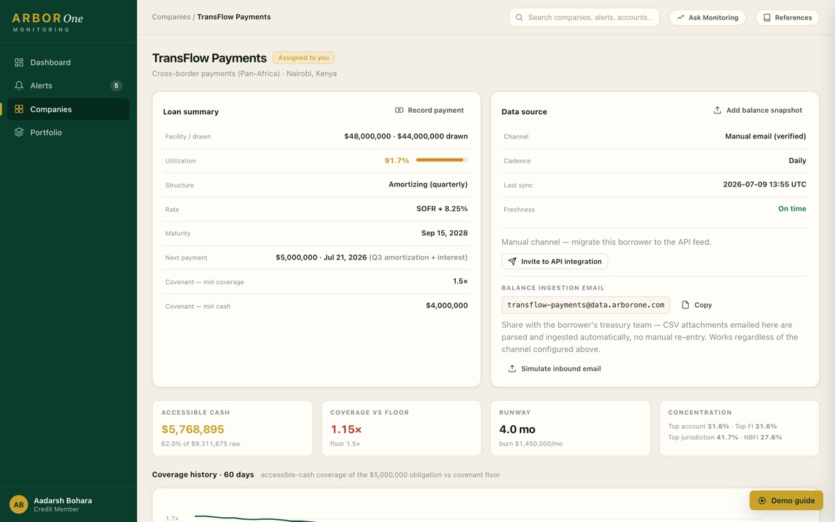 Borrower detail: loan summary, data-source card, and the accessible-cash metric row showing $5,768,895 at 62.0% of $9,311,675 raw and 1.15x coverage against a 1.5x floor